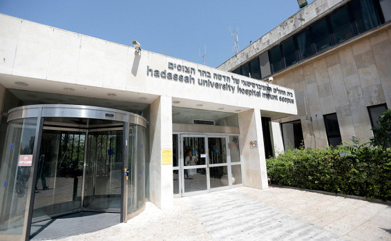 הדסה הר הצופים - צילום: אורן בן חקון
